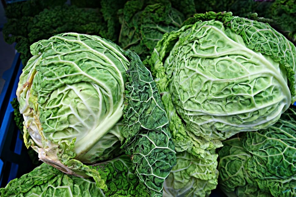 can cabbage be frozen raw
