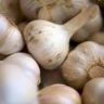 can garlic be frozen