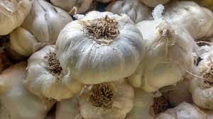can garlic burn skin
