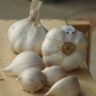 Can Garlic Cause Heartburn