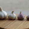 can garlic kill dogs