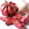 can garlic lower blood pressure