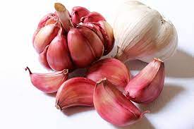 can garlic lower blood pressure