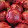 can you cook red onions