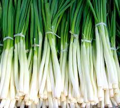 can you freeze spring onions