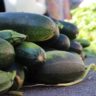 can zucchini cause bloating