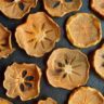 fruit dehydrator