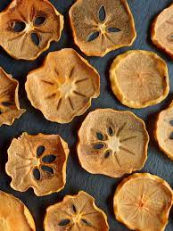 fruit dehydrator