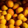 fruit in season australia