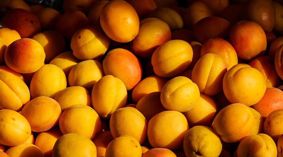 fruit in season australia