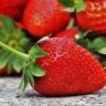 fruit of grisaia