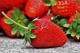 fruit of grisaia