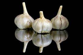 garlic and ginger paste
