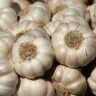 garlic and horseradish tablets