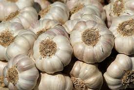 garlic and horseradish tablets