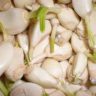 garlic clove