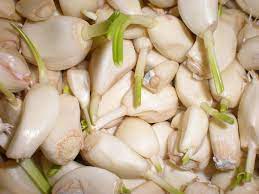 garlic clove