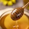 garlic with honey benefits