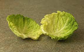how cabbage helps engorgement