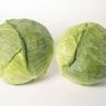 how cabbage is good for you