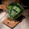 how cabbage juice heals ulcers