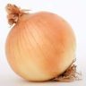 how many calories in an onion