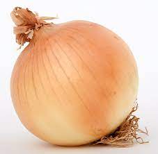 how many calories in an onion