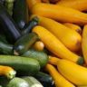 how to pronounce zucchini