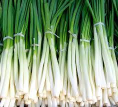 how to store spring onions