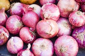 is onion a vegetable