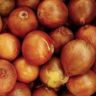 Is Onion Good For You