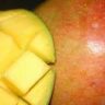 mango allergy
