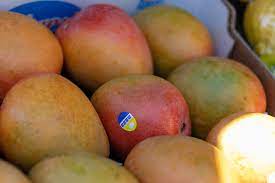 mango au