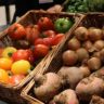onion and potato storage