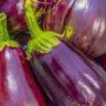 peaches and eggplants