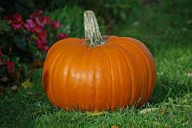 pumpkin health benefits