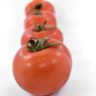 tomato calories