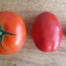 tomato vs tomatoe