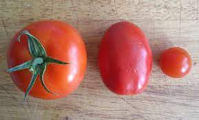 tomato vs tomatoe