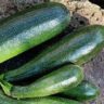 What Else Is Zucchini Called