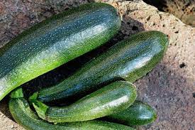 What Else Is Zucchini Called