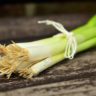What Is A Green Onion