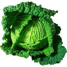 when does cabbage goes bad