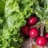 which fruits and vegetables are high in iron
