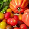 which fruits and vegetables are rich in vitamin b12