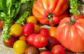 which fruits and vegetables are rich in vitamin b12