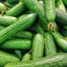 which is healthier zucchini or cucumber