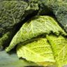 who has cabbage on sale