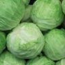 why cabbage is good for you