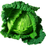 why cabbage is not good for thyroid